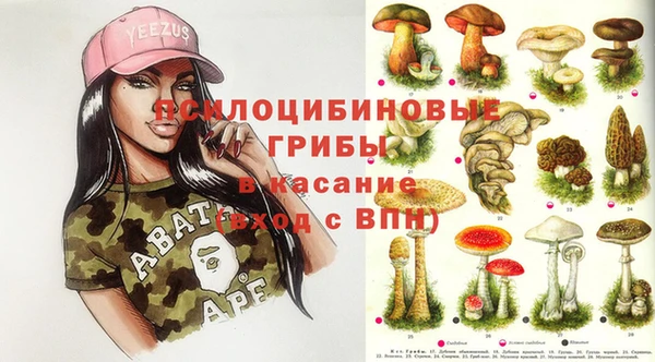 экстази Арсеньев