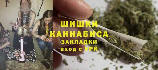 экстази Арсеньев