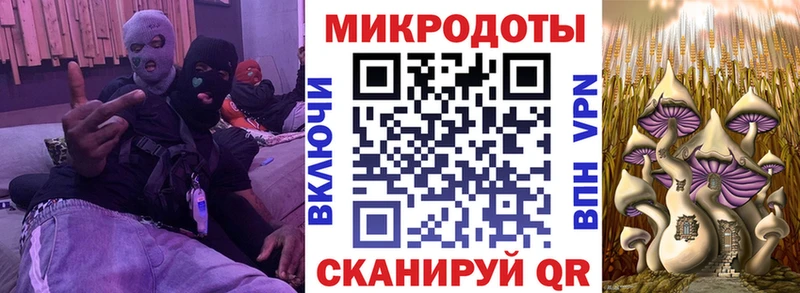 Галлюциногенные грибы MAGIC MUSHROOMS  наркошоп  Владивосток 